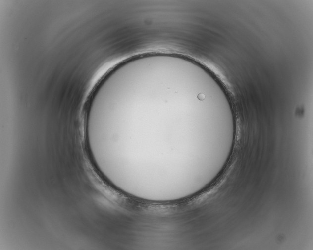 X0000091061078200708060955