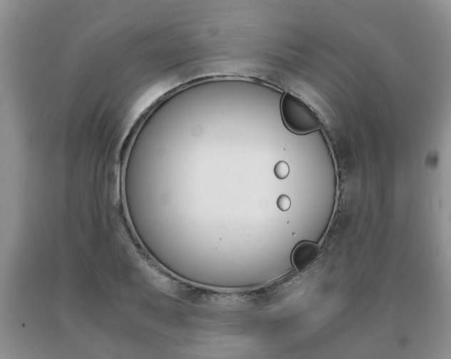 X0000091061079200708060955