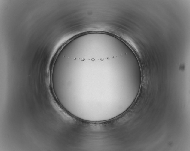 X0000091061080200708060954
