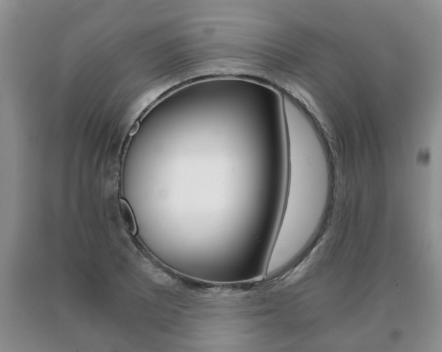 X0000091061081200708060954