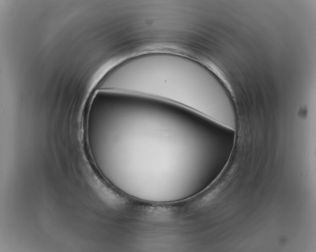 X0000091061082200708060954