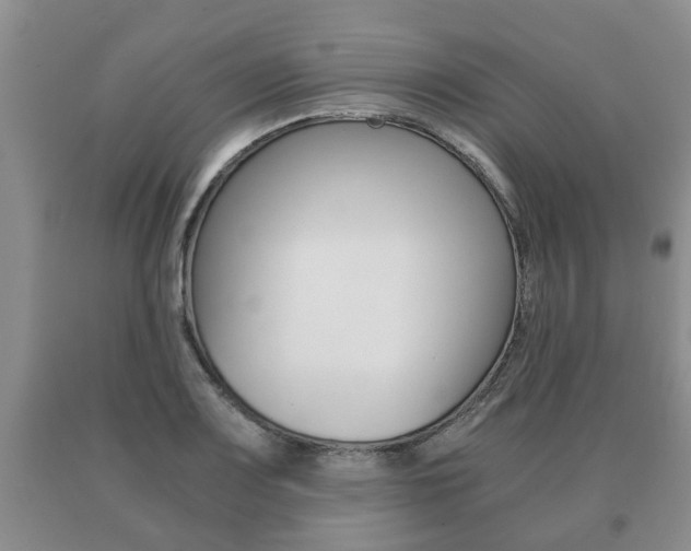 X0000091061083200708060954