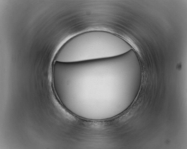 X0000091061084200708060954