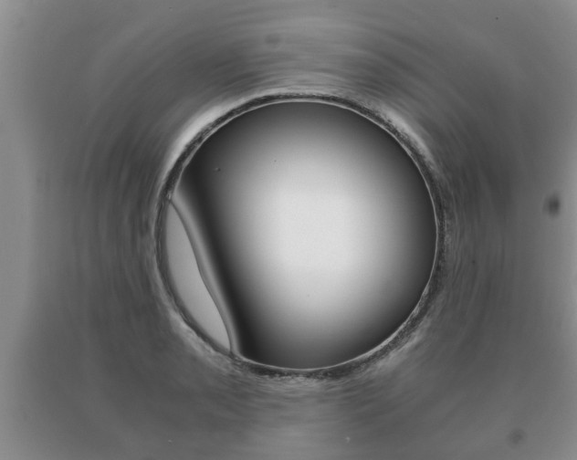 X0000091061085200708060954