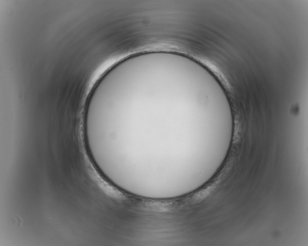 X0000091061086200708060954
