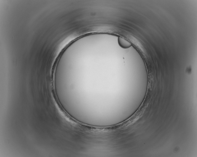 X0000091061087200708060954