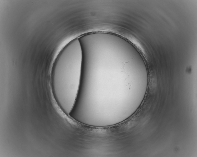 X0000091061088200708060954