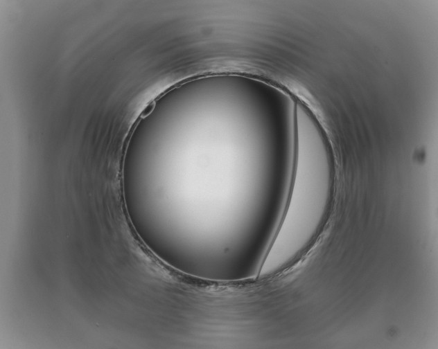 X0000091061089200708060954