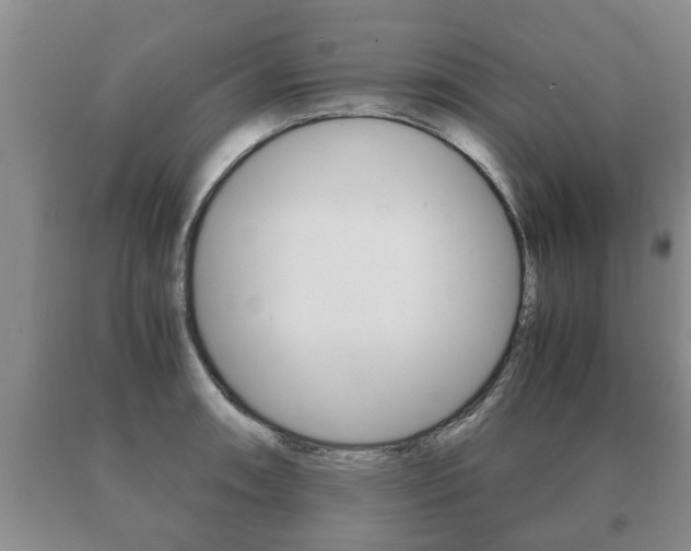 X0000091061090200708060954