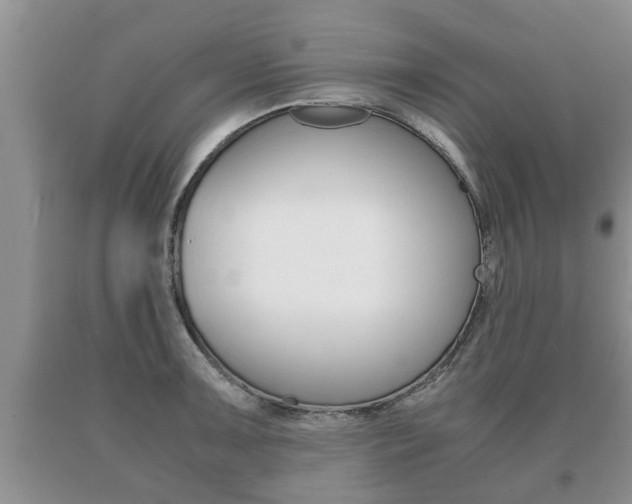 X0000091061091200708060954