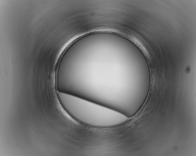 X0000091061092200708060954