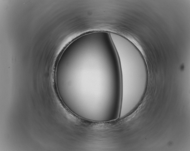 X0000091061093200708060954