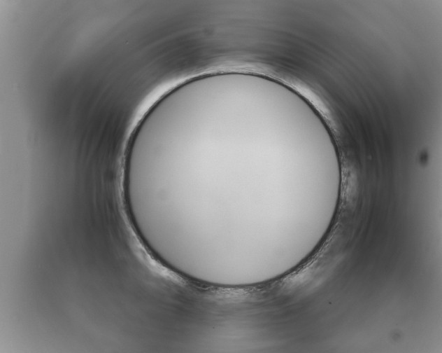 X0000091061094200708060954