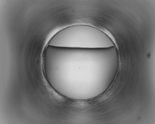 X0000091061096200708060954