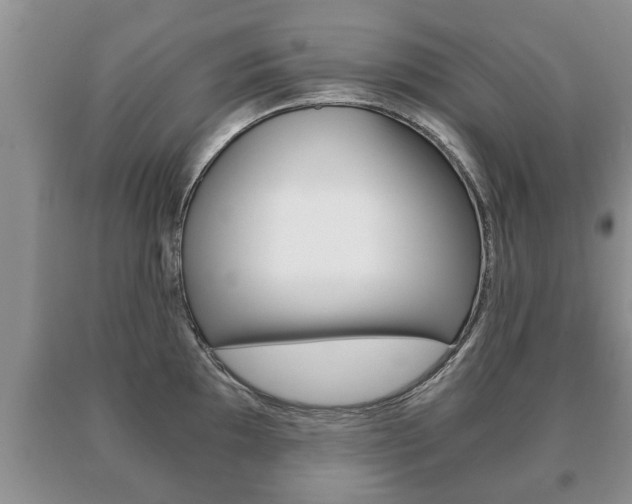 X0000091061097200708060954