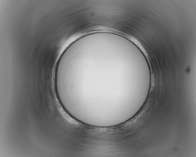 X0000091061098200708060954