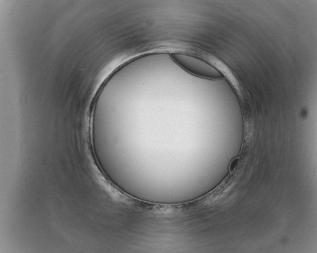 X0000091061099200708060954