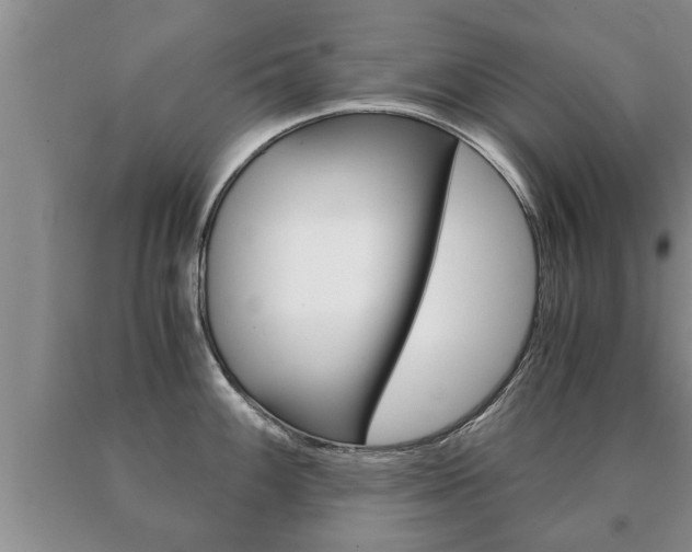 X0000091061100200708060954