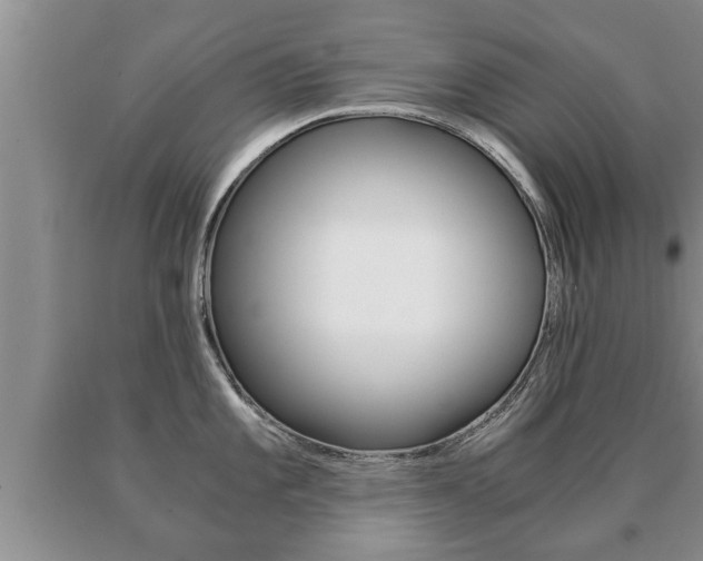 X0000091061101200708060954