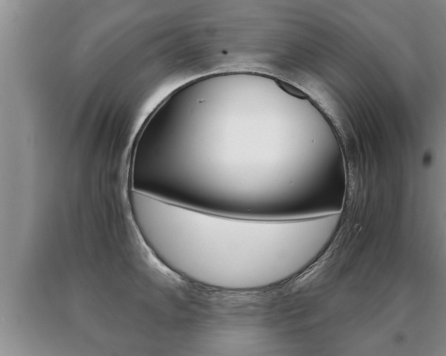 X0000091061102200708060954