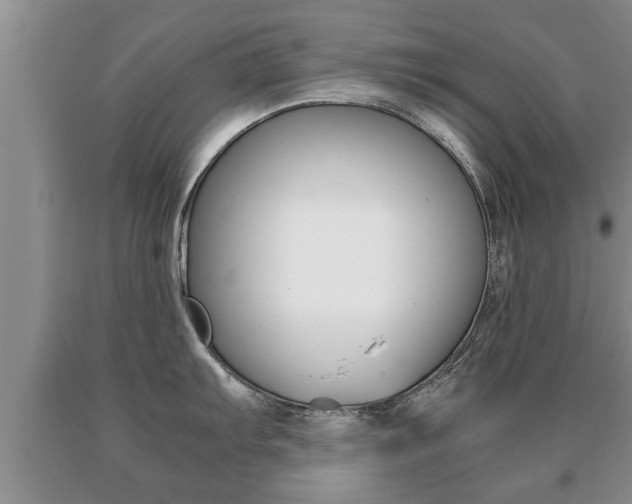 X0000091061103200708060954