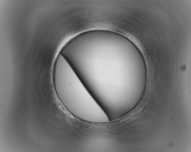X0000091061104200708060954