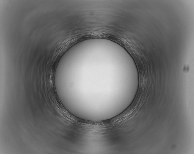 X0000091061106200708060954