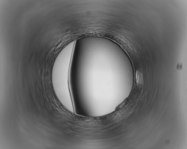 X0000091061107200708060954