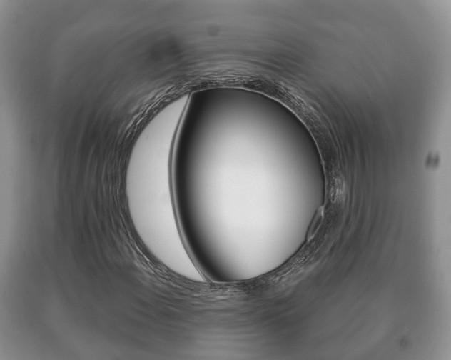 X0000091061108200708060954