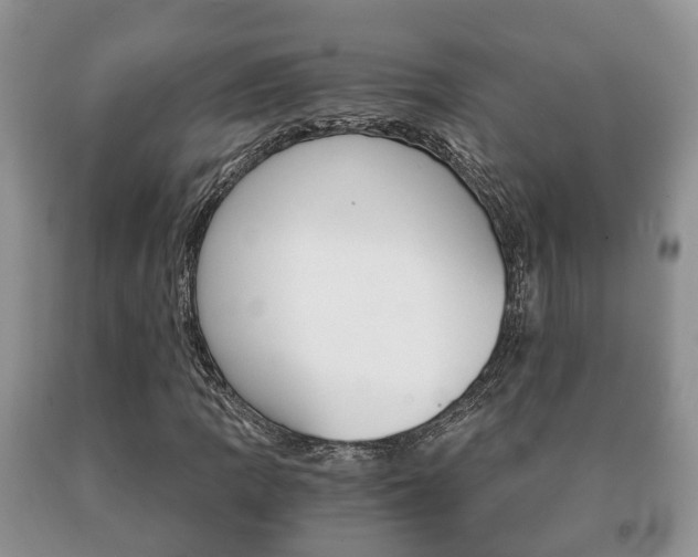 X0000091061109200708060954
