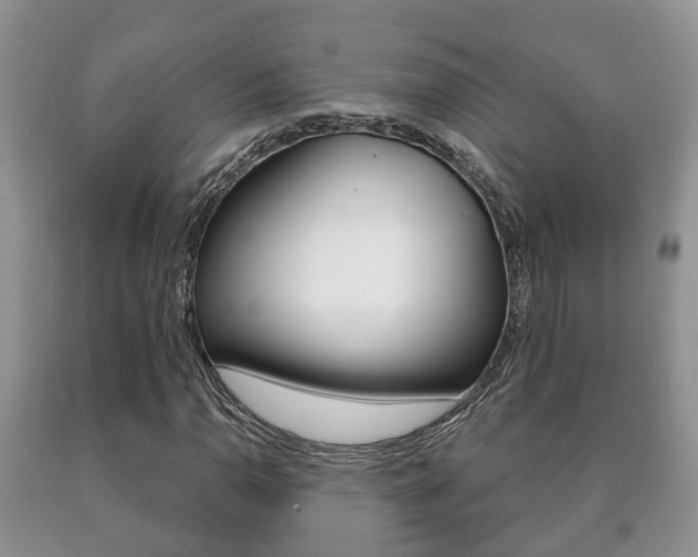 X0000091061110200708060954