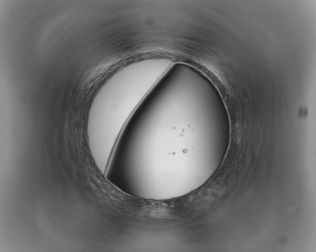 X0000091061111200708060954