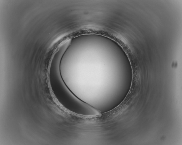 X0000091061112200708060954
