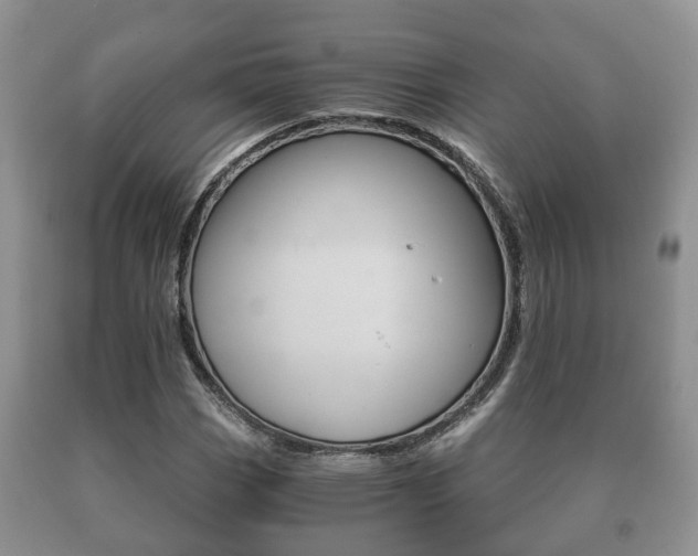X0000091061113200708060954