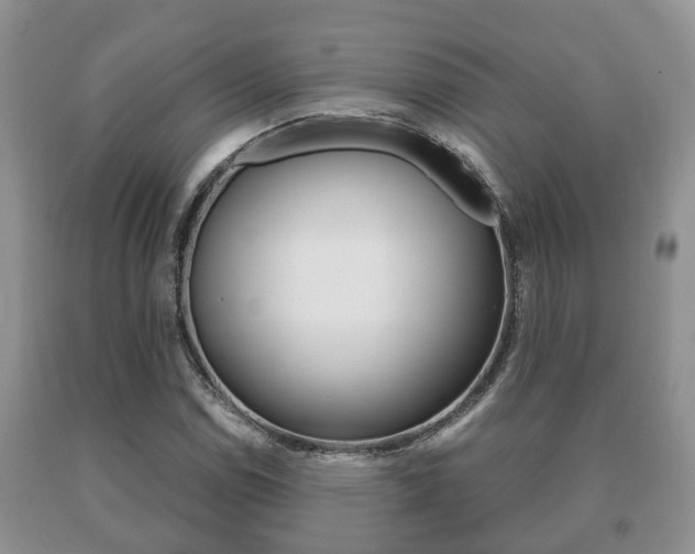 X0000091061114200708060954