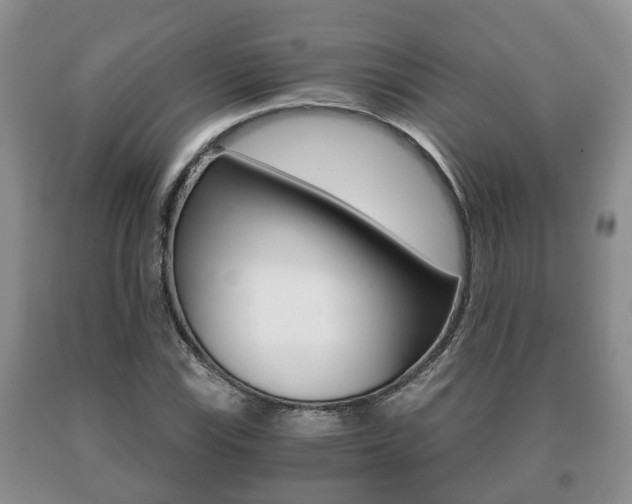 X0000091061115200708060954