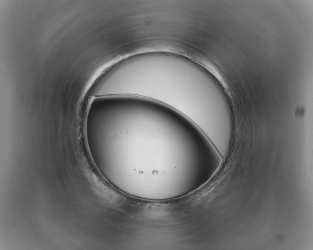 X0000091061116200708060954