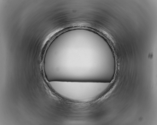 X0000091061117200708060954