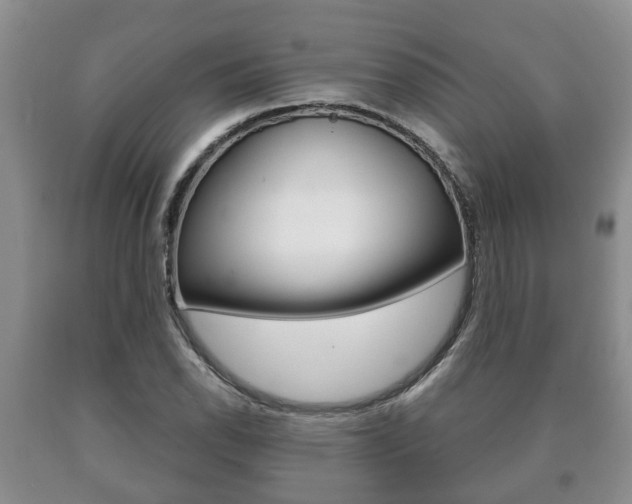 X0000091061118200708060954