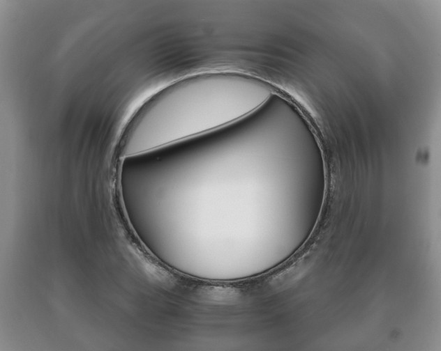 X0000091061119200708060954