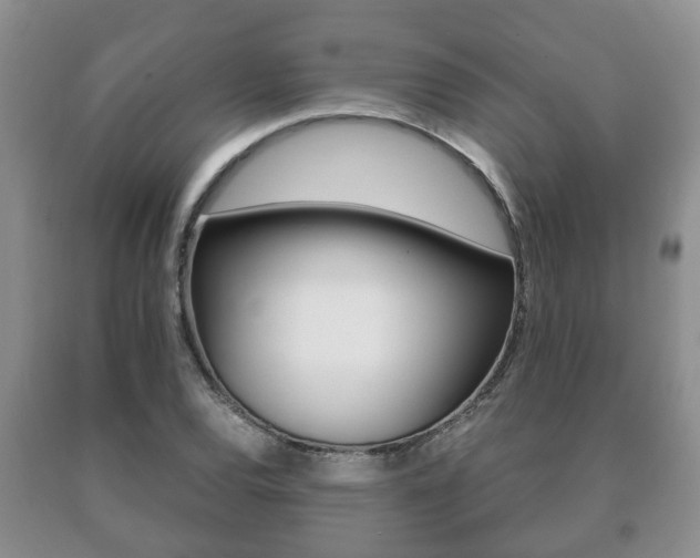 X0000091061120200708060954