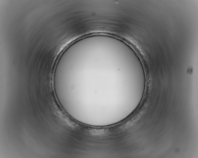 X0000091061121200708060954