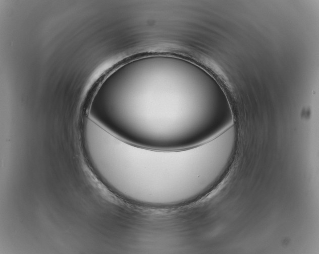 X0000091061122200708060954