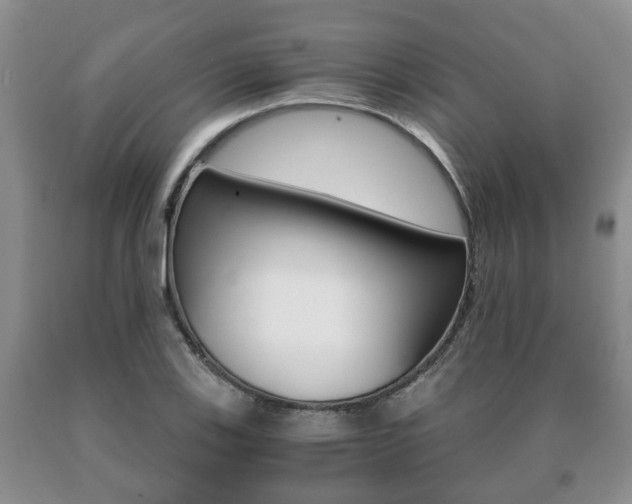 X0000091061123200708060954