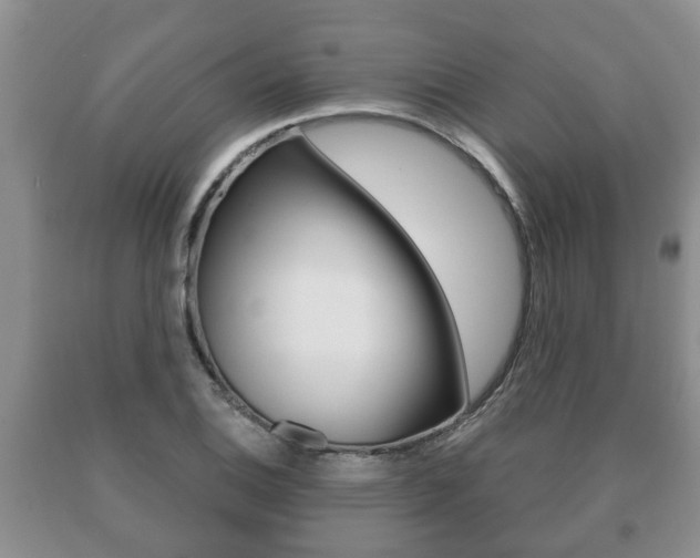 X0000091061124200708060954