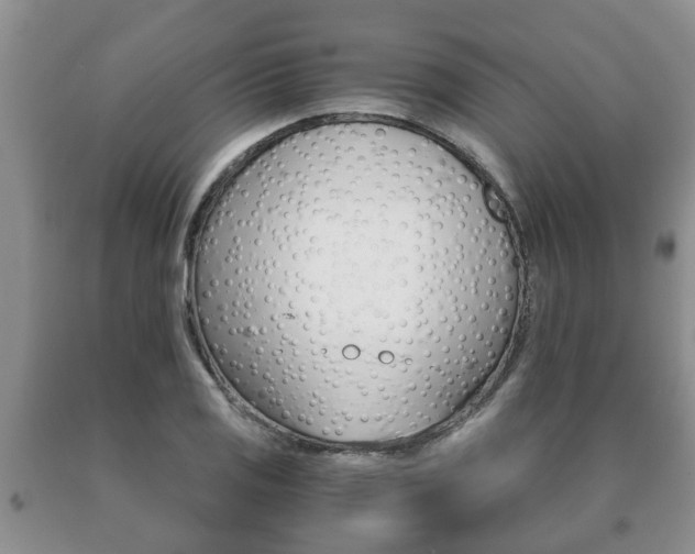 X0000091061125200708060954