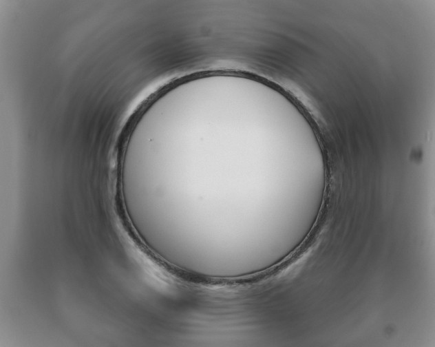 X0000091061126200708060954