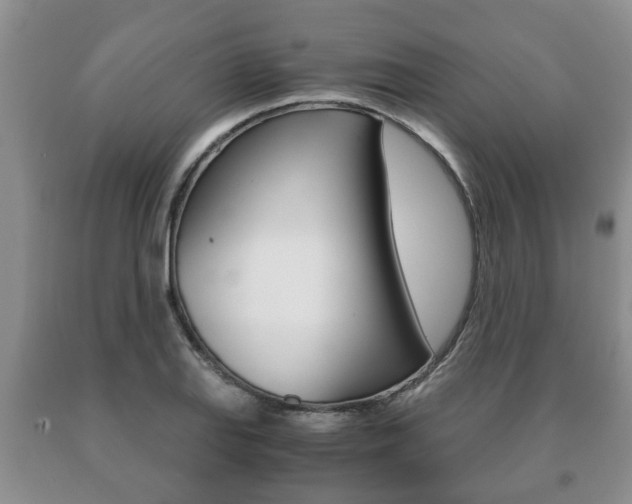 X0000091061127200708060954