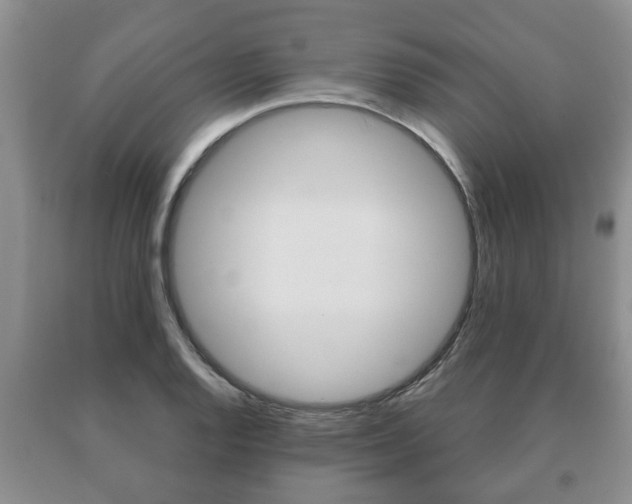 X0000091061128200708060954