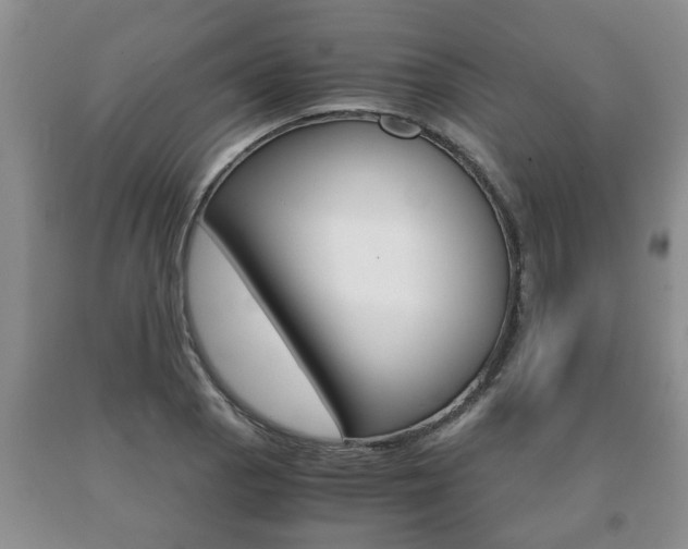 X0000091061129200708060954